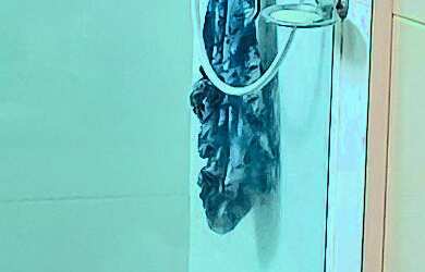 Imagem 5: Apartamentos 2 Dormitórios para venda em Lauro de Freitas - BA