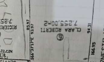 Imagem 5: 6 LOTE FARROUPILHA - BONALDO CLARA