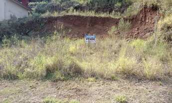 Imagem 4: LOTE URBANO 01 FARROUPILHA