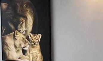 Imagem 2: Apartamento com 3 dormitórios sendo 1 suíte 2 vagas no Centro em Itajaí/SC