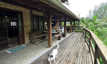 Imagem 6: Sítio com 6 Hectares em Nova Trento