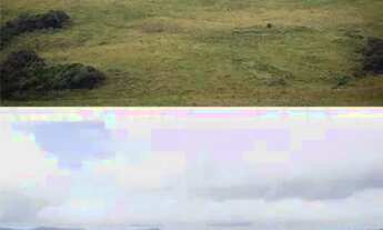 Imagem 3: Terreno com 20,000m² em Urubici/SC