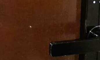 Imagem 2: Apartamento à Venda, 51m2, 1 Dormitório, Itacorubi, Florianópolis/SC - Próximo CEPON / UD