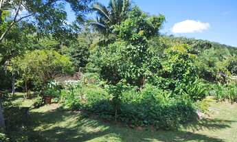 Imagem 3: Sitio com casa e piscina no Braço em Camboriú