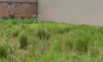 Imagem 2: Terreno 12x25 300 m2 em rua asfaltada no Centro Penha/SC