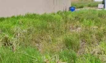 Imagem 3: Terreno 12x25 300 m2 em rua asfaltada no Centro Penha/SC