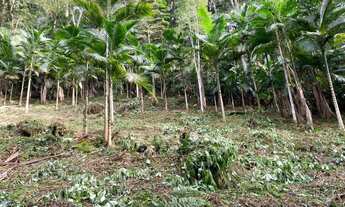 Imagem 4: Chácara em Camboriú