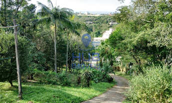 Imagem 2: Terreno À Venda, 1600m2, Com Casa (65m2), Morro das Pedras, Florianópolis/SC