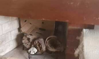 Imagem 2: Casa para Locação 3 Dormitórios(1S), 151 m² Santa Mônica, Florianópolis/SC