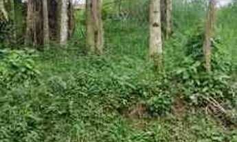 Imagem 2: Lote com 715,52 m2 no bairro da Velha em Blumenau- SC