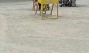 Imagem 6: Apartamento vista mar mobiliado com 2 dormitórios e 1 vaga de garagem em Balneário Cambori