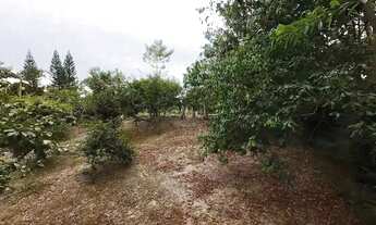 Imagem 7: Sítio com 24.017,00m² com casa construída com 4 dormitórios 3 vagas em Ascurra/SC