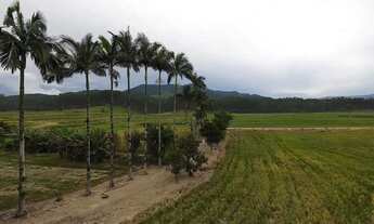 Imagem 6: Sítio com 24.017,00m² com casa construída com 4 dormitórios 3 vagas em Ascurra/SC