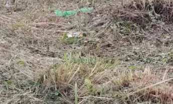 Imagem 2: Terreno pronto para construir com 288m² em Itapema