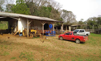 Imagem: Fazenda à Venda, 28,5 Alqueires, Pinhal