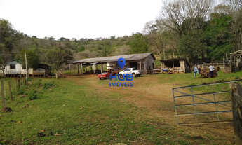 Imagem 4: Fazenda à Venda, 28,5 Alqueires, Pinhal Grande, Laranjal/PR