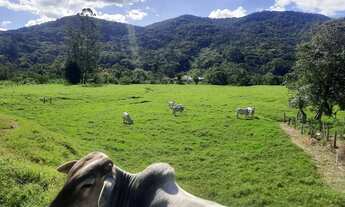 Imagem 4: Terreno à Venda, 36.846 m2, com Viabilidade para Loteamento. Sul do Rio, Santo Amaro da Im