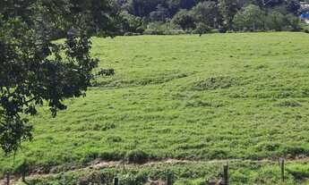 Imagem 3: Terreno à Venda, 36.846 m2, com Viabilidade para Loteamento. Sul do Rio, Santo Amaro da Im