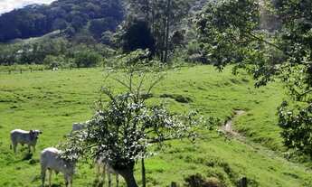 Imagem 5: Terreno à Venda, 36.846 m2, com Viabilidade para Loteamento. Sul do Rio, Santo Amaro da Im