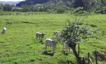 Imagem 7: Terreno à Venda, 36.846 m2, com Viabilidade para Loteamento. Sul do Rio, Santo Amaro da Im