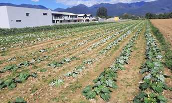 Imagem 6: Terreno à Venda, Plano, Nível da Rua, com 11.089 m2. Sul do Rio, Santo Amaro da Imperatriz