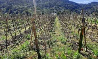 Imagem 2: Terreno à Venda, Plano, Nível da Rua, com 11.089 m2. Sul do Rio, Santo Amaro da Imperatriz