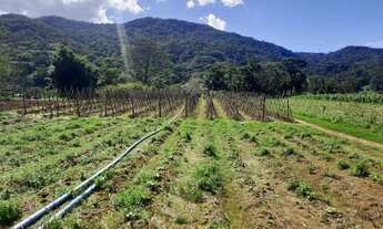 Imagem 4: Terreno à Venda, Plano, Nível da Rua, com 11.089 m2. Sul do Rio, Santo Amaro da Imperatriz