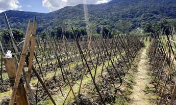 Imagem 3: Terreno à Venda, Plano, Nível da Rua, com 11.089 m2. Sul do Rio, Santo Amaro da Imperatriz