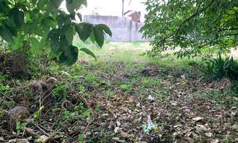 Imagem 6: Terreno à Venda, Jurerê Internacional, Florianópolis, SC