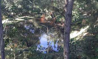 Imagem: Terreno à Venda, 101.000 m² (IDEAL PARA