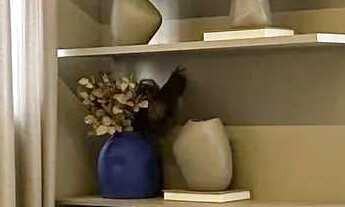 Imagem: Apartamento pronto para morar 2 dormitórios