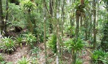 Imagem 4: Terreno à Venda, 30.000 m2, Santa Rosa de Lima/SC
