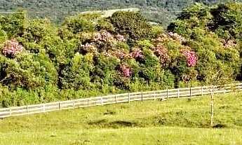 Imagem 1: Terreno à Venda, 30.000 m2, Santa Rosa de Lima/SC