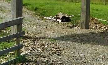 Imagem 7: Terreno à Venda, 30.000 m2, Santa Rosa de Lima/SC