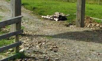 Imagem 5: Terreno à Venda, 30.000 m2, Santa Rosa de Lima/SC