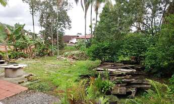 Imagem: Casa com 3 dormitórios e terreno plano