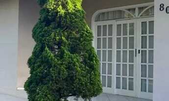 Imagem 7: Casa com 3 dormitórios sendo 1 suíte e 2 vagas - Boa Vista