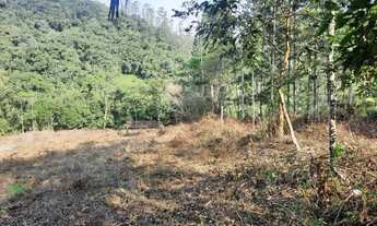 Imagem 3: Terreno rural com 3.000 m² no Bairro Alto Pitanga, Nova Trento/SC