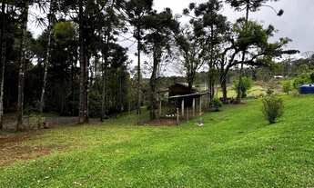 Imagem 2: Chácara com 15.000 m² em Salto do Engenho