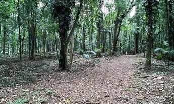 Imagem 6: Chácara com casa de 3 dormitórios sendo 2 suítes e 8 vagas - Quiriri