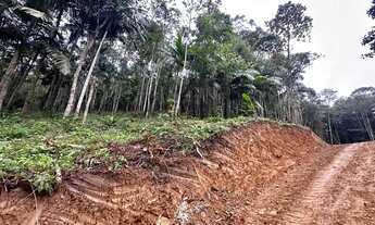 Imagem: Terreno rural com 30.142,92m² em Massaranduba/SC