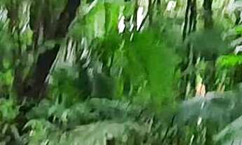 Imagem 5: Sitio com 355.700m², 35 hectares no Bairro Encano do Norte