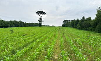Imagem: Terreno 29.700m2, em Umbará - Curitiba/PR