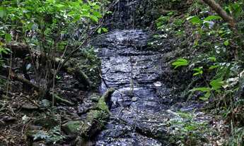 Imagem 2: 2,7 Hrectares, Com Vista da Serra Catarinense, Santa Rosa de Lima/SC