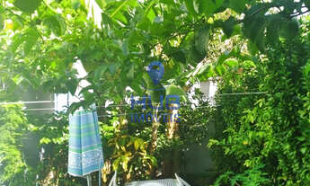 Imagem 2: Sobrado Casa com 2 dormitórios