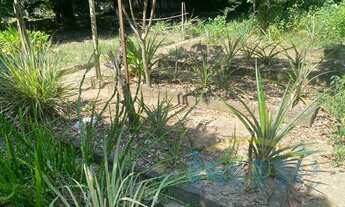 Imagem 5: Chácara em Barão Geraldo, 2 dorm., 2 wcs, piscina, churrasqueira e muita área verde