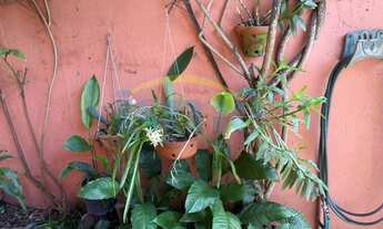 Imagem 2: LINDO SOBRADO EM CONDOMINIO