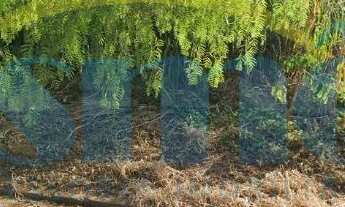 Imagem: TERRENO URBANO COM 480m- JARDIM DO SOL