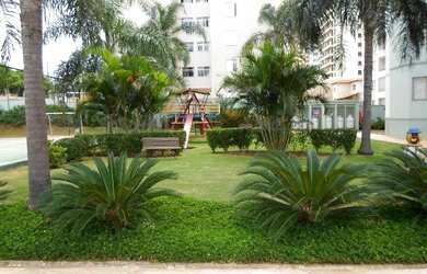 Imagem 4: APTO 3 DORMI/1 SUÍTE-CHACARA PRIMAVERA