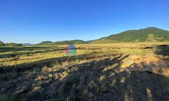 Imagem 2: Terreno, Agricola